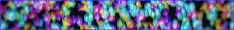 viki.gif viki.gif