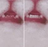 1674267031782.webp