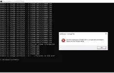 4.webp