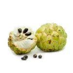 images-3.webp