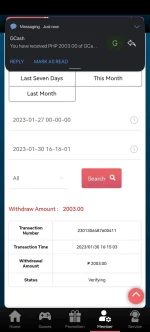 Screenshot_20230130_161621_com.huawei.browser.jpg
