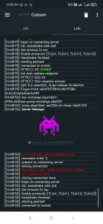Screenshot_2023-01-31-10-08-27-777_xyz.easypro.httpcustom.webp