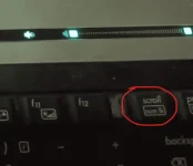 1675305772326.webp