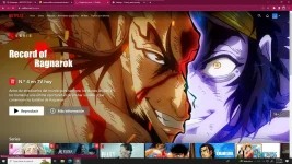 ss netflix.webp