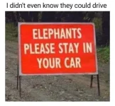 1675381950107.webp