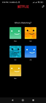 Screenshot_2023-02-04-20-56-13-238_com.netflix.mediaclient.webp