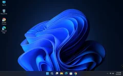 Untitled.webp