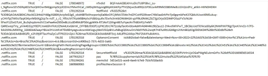 1675734494509.webp