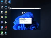 win1111.webp