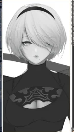 2b1.webp