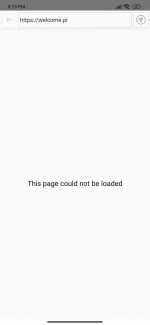 Screenshot_2023-02-11-21-13-09-692_pi.browser.jpg