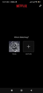 Screenshot_2023-02-12-00-37-59-658_com.netflix.mediaclient.webp
