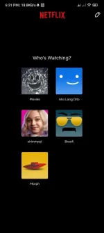 Screenshot_2023-02-12-18-31-14-170_com.netflix.mediaclient.webp