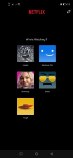 Screenshot_20230212_192809_com.netflix.mediaclient.webp
