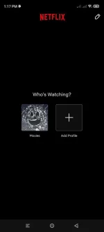 Screenshot_2023-02-13-13-17-33-211_com.netflix.mediaclient.webp