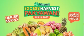 Mayani.webp Mayani.webp