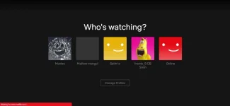 netflix.webp