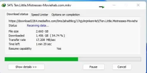 idm.webp
