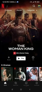 Screenshot_2023-02-18-12-55-30-810_com.netflix.mediaclient.webp