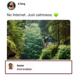 1676700891649.webp