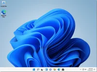 13.webp 13.webp
