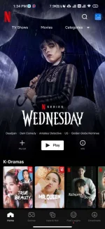 Screenshot_2023-02-24-13-34-20-797_com.netflix.mediaclient.webp