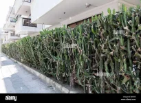 images (4).webp images (4).webp