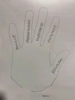 1677472440291.jpg