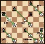 pin.webp pin.webp