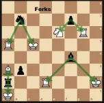 forks.webp forks.webp
