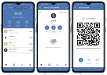 smartchain.webp smartchain.webp