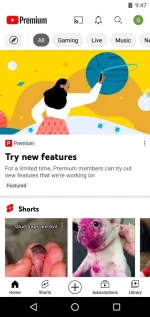 Screenshot_2023-03-03-09-47-46-65.webp