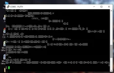 c1.webp
