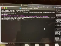 image.webp image.webp