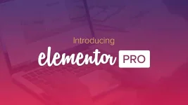 ELEMENTOR PRO.webp