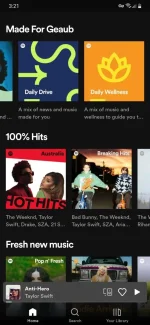 Screenshot_20230307-152140_Spotify.webp