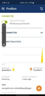 Screenshot_20230307_184527_OpenVPN Connect.webp