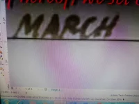 DSC_0444.webp