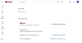 1678285893815.webp