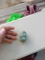 IMG20230312173153.webp