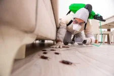 Kill-Bugs-856x571.webp