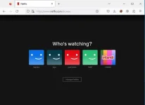 netflix.webp