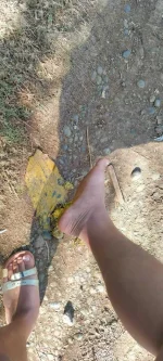FB_IMG_1678973785146.webp
