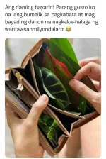 1679133612851.webp