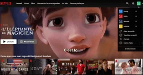 netflix cookie p2.png
