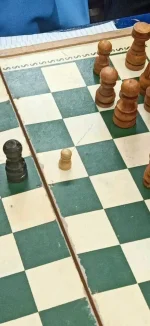 1679186479775.webp