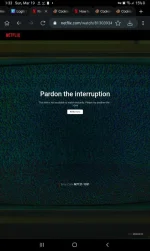 Screenshot_20230319-133335_Kiwi Browser.webp