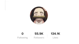 tiktok takip [081316A].png