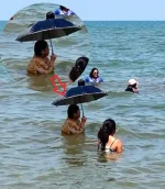 FB_IMG_1679541793978.webp