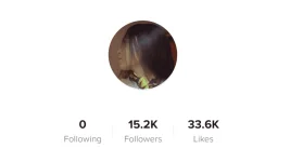 tiktok takip bago [662D748].webp